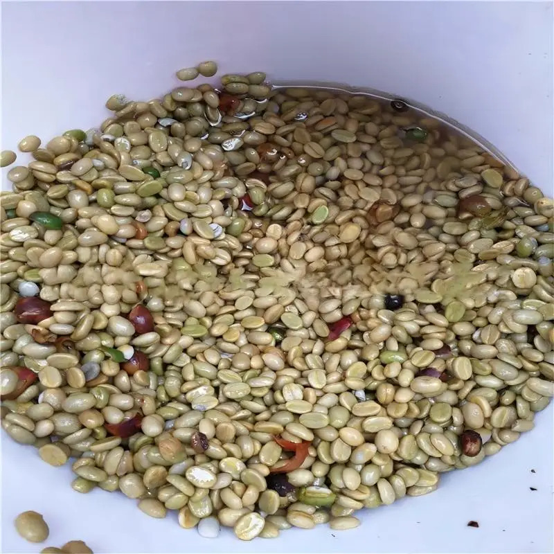 Despolpador de Grãos de Café e - Coffee Equipment In China avaliação e preço