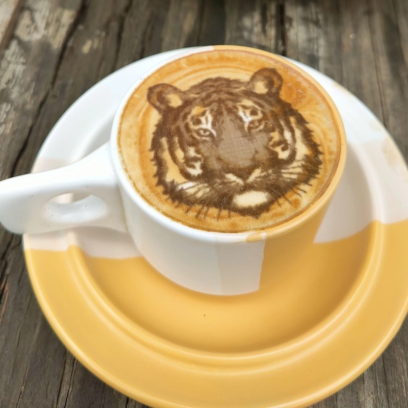 Nova Tendência em Suprimentos  - Coffee Equipment And Supplies avaliação e preço